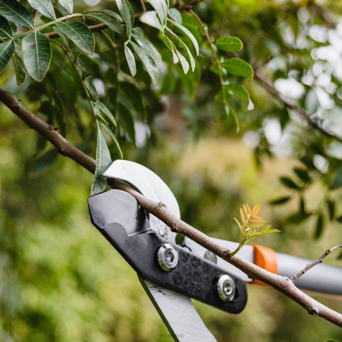 21,5-tolline möödaviigulõikur VLRD52 aiatööriistad WORX