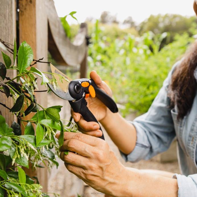 3/4'' lõikevõimsusega möödaviigu käsioks VLRD47 aiatööriistad WORX