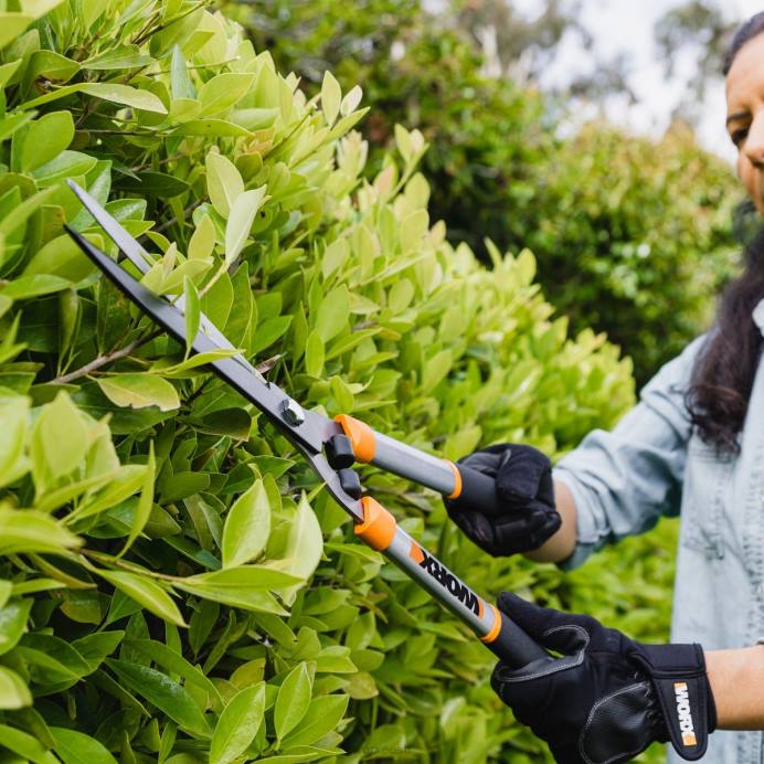 9'' terasest teraga hekikäärid VLRD46 aiatööriistad WORX